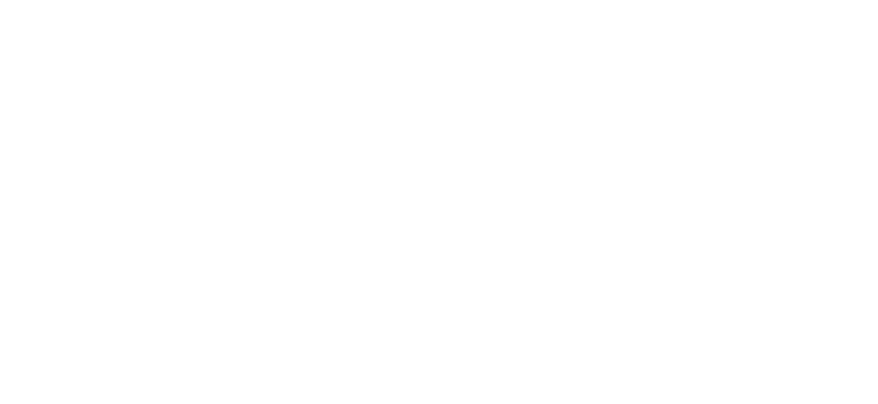 Rajiv Vassanji's Peace Wave